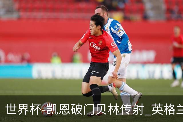 世界杯-凯恩破门贝林传射 英格兰2-0巴拿马小组第一